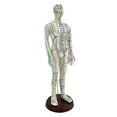 thumbnail image 2 of BELOVING 21.2inch Tall Model Accessory for Professionals Human Body Model Male, 2 of 9