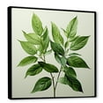 thumbnail image 2 of Designart "Serenity In Fresh Mint Minimalism Leaves III" Leaves Floater Framed Canvas Wall Art, 2 of 5
