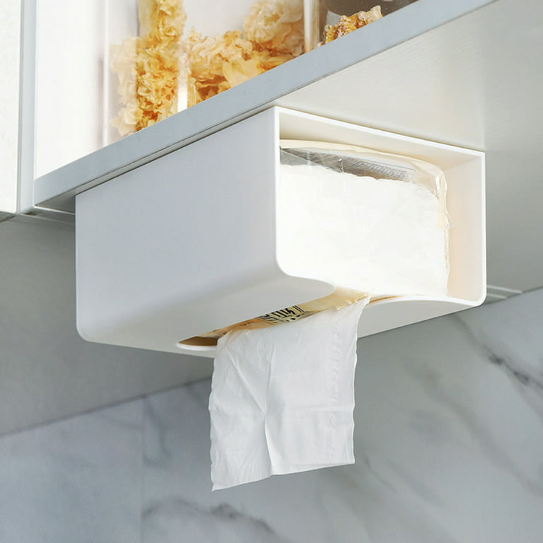 Spiretro Wall Mount Toilet Paper Holder, Decorative Tissue Paper Roll  Dispenser Floating Shelf, Recessed Cubby Box Bracket Cabinet, Storage,  Reserve