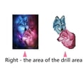 thumbnail image 2 of 5D Diy Lovers Wolf Rhinestone Animal Rhinestone Picture Diamond Painting Crystal Embroidery Animal Picture Home Decorative Resin Cross Stitch, 2 of 8