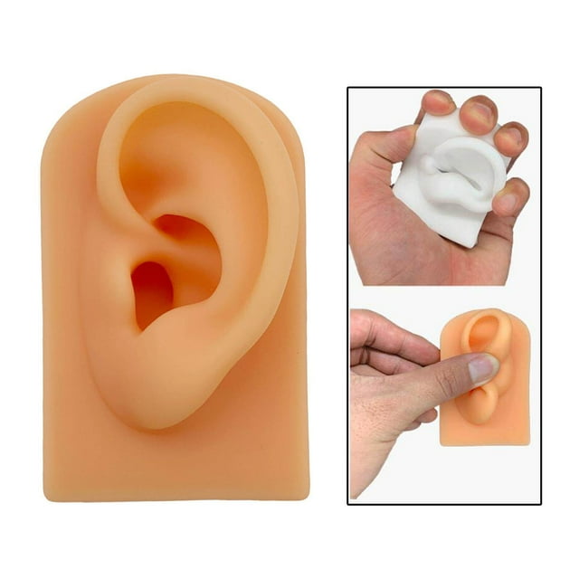 ziyahi Silicone Soft Ear Model Teaching Tool Display Body Part Modeling Props fake silicone dummy make life size Skin