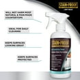 thumbnail image 5 of Stain Proof Daily Countertop Cleaner, 5 of 7