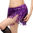 thumbnail image 2 of Eoperou Women Belly Dance Skirt Chain Tassel Sequin Double-layer Lace-up Bohemian Clubwear Performance Mini Waist Wrap Latin Dance Practice Short Skirt Hip Waist Scarf, 2 of 7