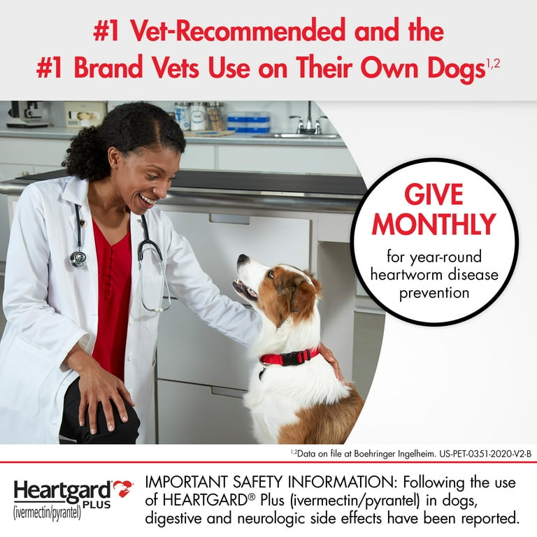 Heartworm medication walmart sale