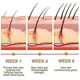 thumbnail image 3 of Fermented Rice Essence Conditioner Hair Follicle Rice Moisturizing Essence Hair Growth Liquid Hair Car, 3 of 5
