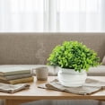 thumbnail image 5 of Faux Potted Plant for Home Desktop Decor, Realistic Artificial Small Greenery Arrangement for Office Table Bookshelf, Modern Indoor Decorative Accent C#059 Multicolor, 5 of 7