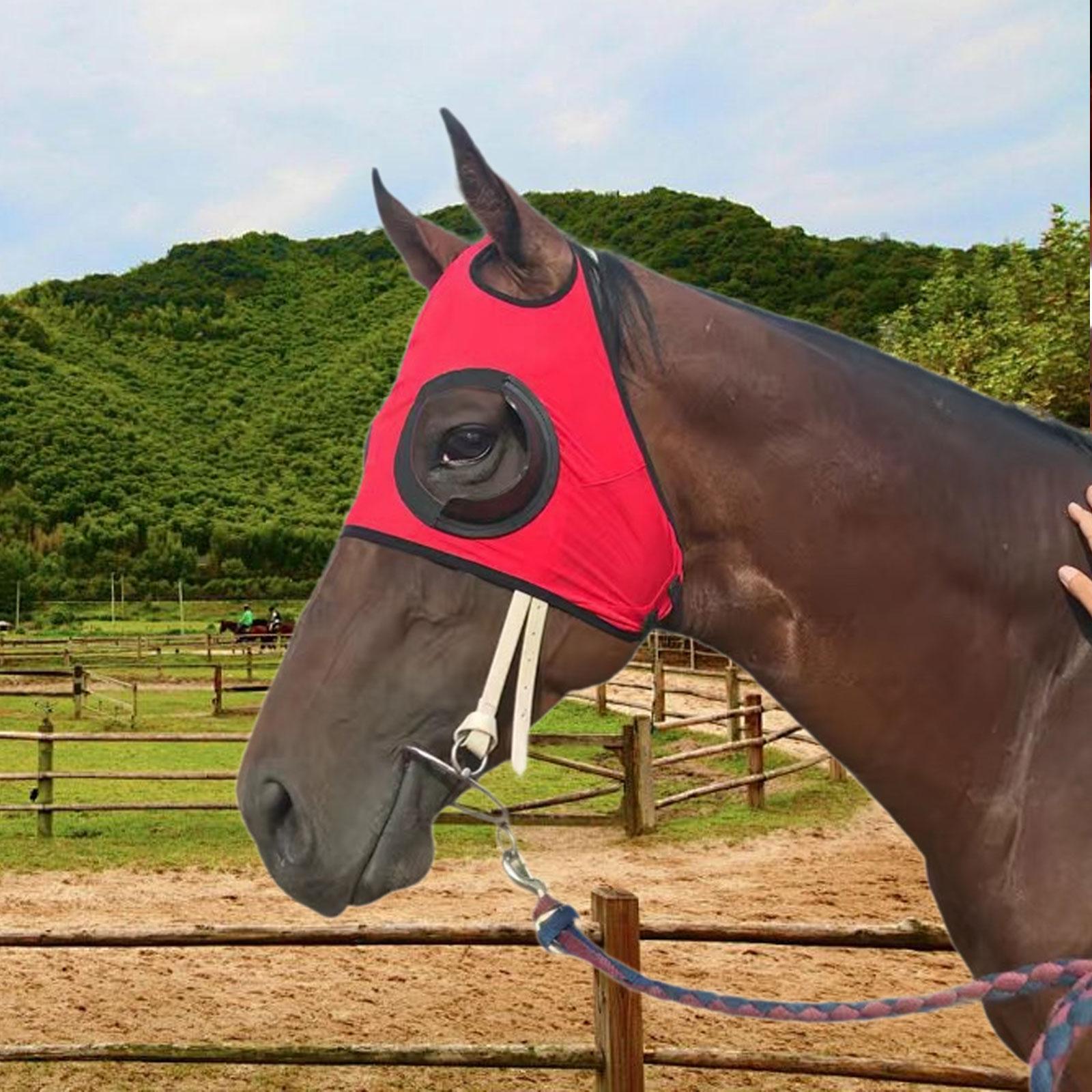 Wswqop Horse Goggles Equestrian Glasses Premium Equipment Replaces Breathable Windproof Red