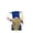 B, variant on Graduation Gnome Doll Plush, Graduation Decor with Doctoral Hat & Diploma, Handmade Keepsake, Desk Home Ornament