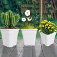 thumbnail image 4 of 10 Pack Nursery Pots 3 Gallon Garden Planter Plastic Sqaure Seedling Pots White Flower Plant Container for Succulents, Seedlings, Cuttings, Transplanting, White, 4 of 7