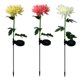 thumbnail image 1 of CAIROYAR Luz solar Chrysanthemum, 1 of 7