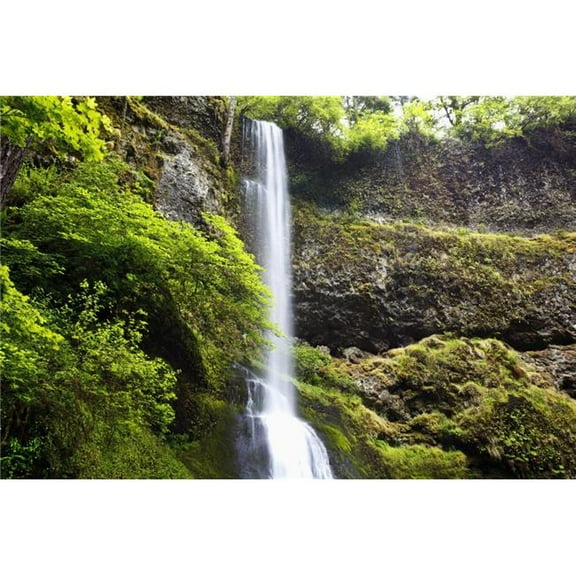 Winter Falls In Silver Falls State Park - Oregon - USA Poster Print - 38 x 24 - Large
