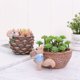 thumbnail image 5 of Squirrel succulent flower pots, Cute resin planter, Desk garden room decor, Small space plant pot, Home office decor, Unique desktop accent, Lightweight resin material, For bedroom styling, 5 of 8