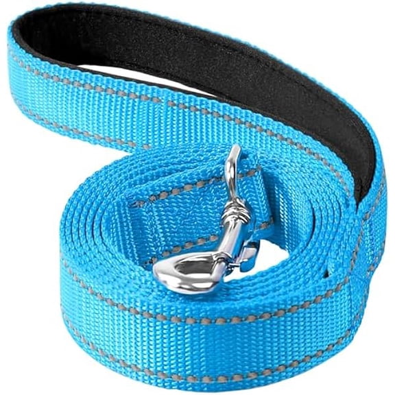 Eryueer Reflective Dog Leash 4ft Soft Padded Handle Nylon Lead for Small & Medium Dogs, Durable Walking Training Leash for Night Safety (SkyBlue,3/4Inch Wide)