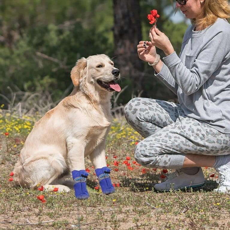 Muk luk dog boots best sale