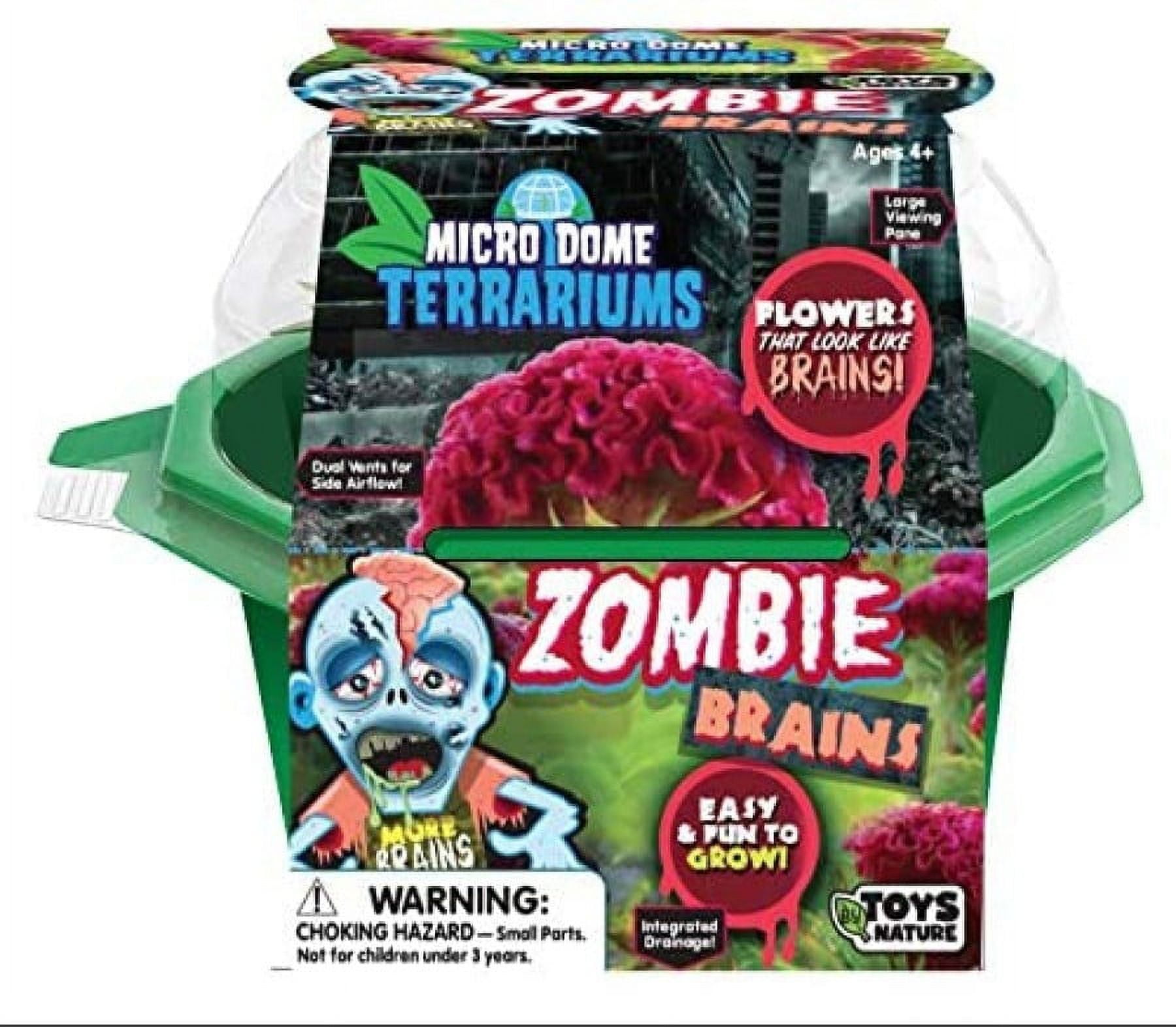 【激レア】WHITE HOLE STUDIO カカロット&保育カプセル&軍医 Toys By Nature - Zombie Brains - Indoor Micro-Gardening Kit