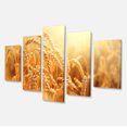 thumbnail image 2 of Gros Plan sur les Oreilles de Blé Doré - Grand Paysage sur Toile, 2 of 3