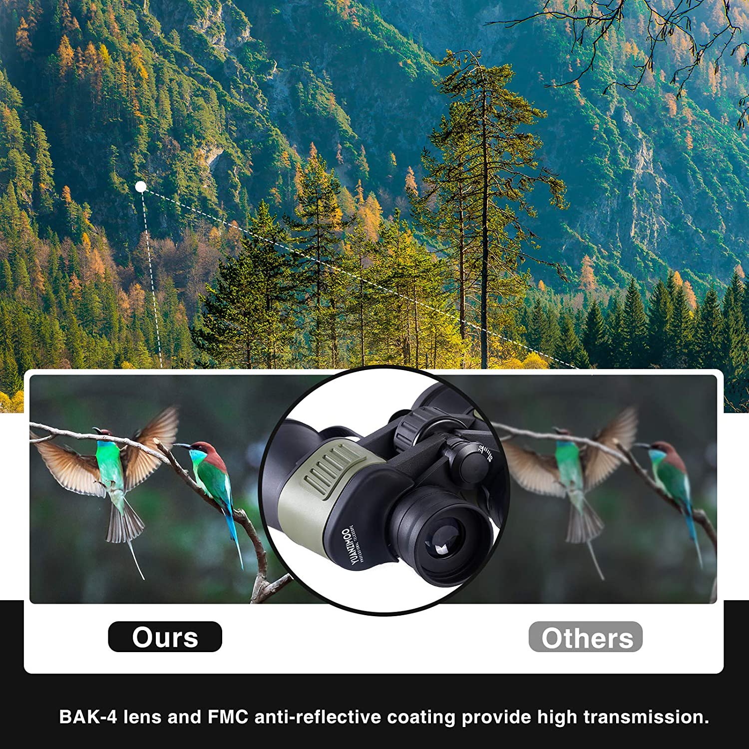 Binoculars Field Of View