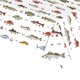 thumbnail image 5 of Manteles, manteles de picnic, manteles para fiestas temáticas de pesca, manteles de pesca al aire libre, toallas de papel, vasos de papel, manteles desechables para celebraciones., 5 of 6