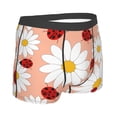 thumbnail image 3 of Kll Daisy And Ladybug Men'S Cotton Boxer Briefs Underwear-Xx-Large, 3 of 9