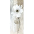 thumbnail image 2 of Nan 10x18 White Modern Wood Framed Museum Art Print Titled - Sheer Elegance II, 2 of 4