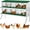 green, variant on TEQIN Chicken Nesting Boxes,6 Compartments Metal Chicken Laying Box with Roll Out Egg Collection with Large Vented Holes for Chickens, Hens, Ducks, Large Egg Laying Boxes