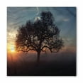 thumbnail image 1 of Nature Bandana, Sunrise Scene with Big Tree, Unisex Head and Neck Tie, by Ambesonne, 1 of 2
