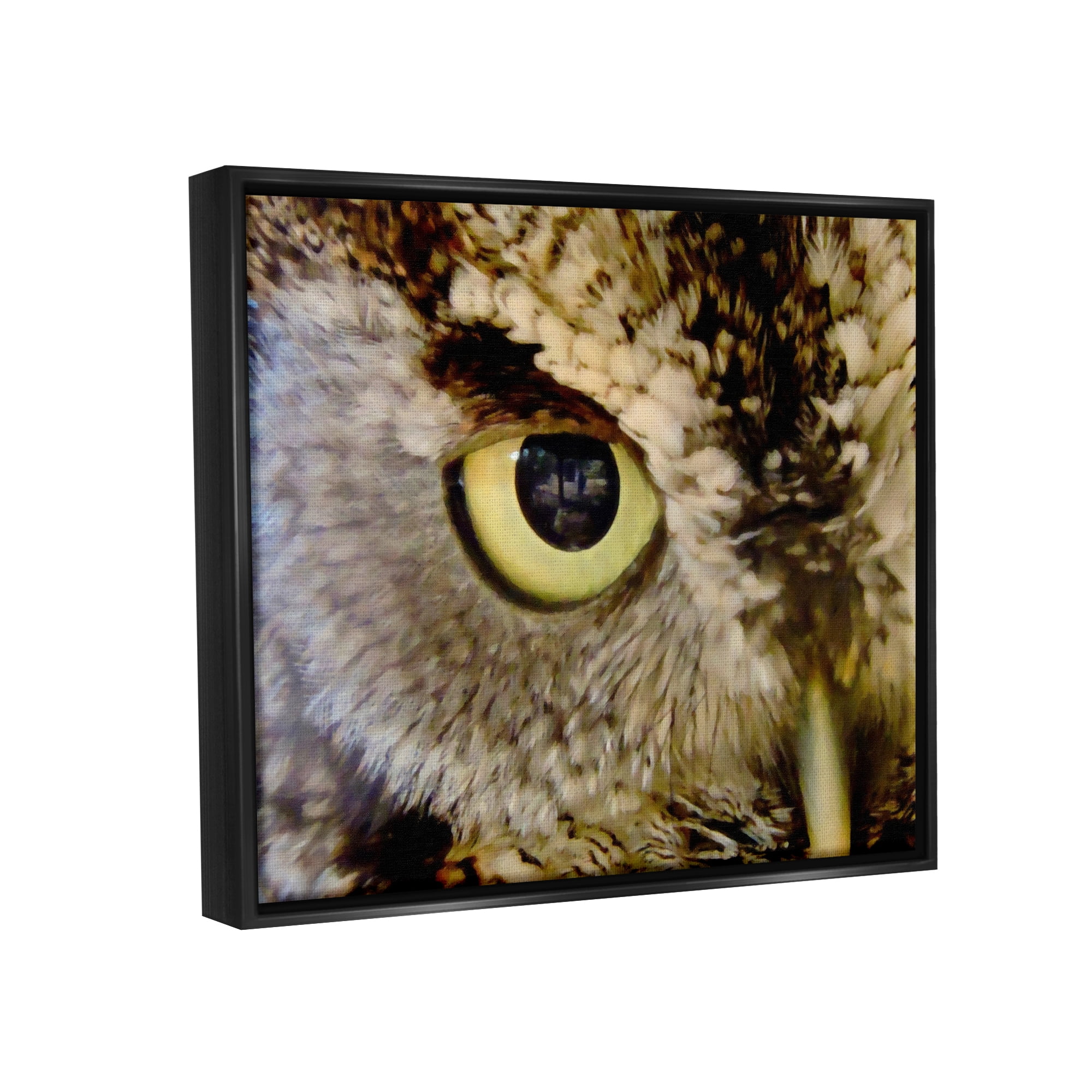 Stupell Industries Owl Eye Close Up Wildlife Animals & Insects Painting Black Floater Framed Art Print Wall Art