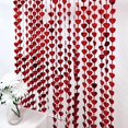 thumbnail image 5 of BalsaCircle Metallic Red Heart 6 feet Foil Tassels Fringe Backdrop Curtains Party Events, 5 of 8