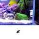 thumbnail image 3 of Cepillo de limpieza de acuario jinwen Eficazmente, 3 of 8