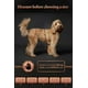 thumbnail image 4 of Chaleco salvavidas para perros NOAH & PAW XL, malla transpirable de espuma 3X, 4 of 9