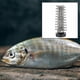 thumbnail image 4 of Cabezal cortador de escamas de pescado eléctrico de acero inoxidable, raspador de escamas de pescado para cocina Plano, 4 of 8