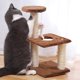 thumbnail image 1 of Árbol rascador moderno para gatos con poste de sisal integrado, diseño que ahorra espacio, estructura metálica plegable, base de madera de 2 niveles, ideal para el dormitorio.,Wsvlmg, 1 of 8