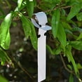 thumbnail image 3 of 100 Pieces Plastic Plant Labels, Tree Tags, Wrap Around Hanging Plant Tags, Waterproof Garden Labels (White, 2x20cm), 3 of 4