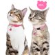 thumbnail image 5 of Collares reflectantes para gatos con cierre de seguridad y cascabel, paquete de 2: collares ajustables para gatos y gatitos, 5 of 5
