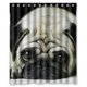 thumbnail image 1 of ABPHQTO Adorable Pug Puppy Cortina de Ducha Cortina de Ducha Impermeable 150x180 cm, 1 of 2