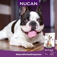 thumbnail image 2 of Alimento Croqueta Perro Adulto Nucan By Nupec 900gr C_AA00NT.9, 2 of 2