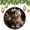 Pattern-5, variant on Christmas Ornament Cat Mom Cat Lovers 3" Circle Ceramic Ornament Cute Meowy Christmas Cat Personalized Christmas Ornaments Christmas Ornament for Family Sister Friend