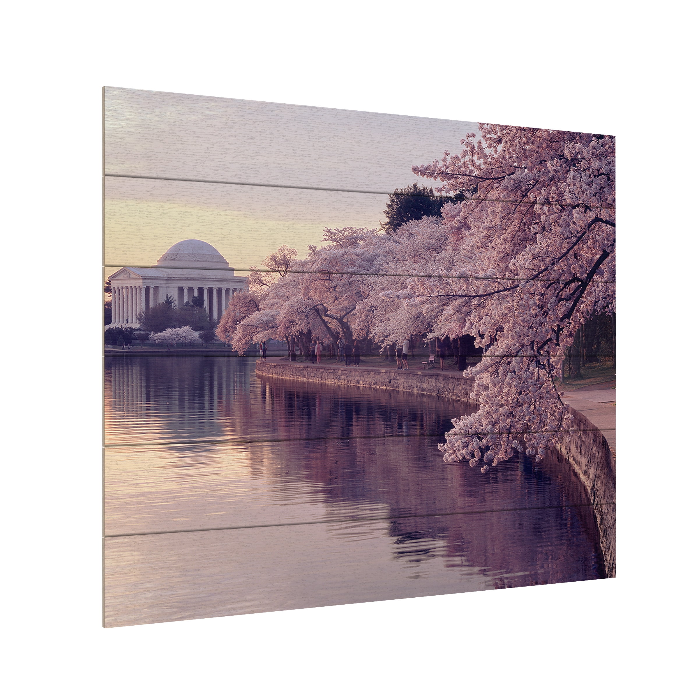 Trademark Fine Art 'Cherry Blossoms Jefferson Memorial' Wooden Wall Art Art by Gregory OHanlon