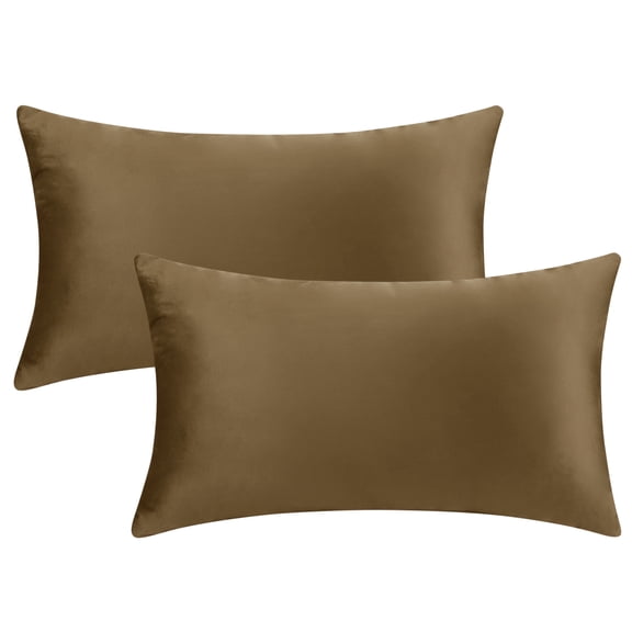 REGALWOVEN Pack of 2 Velvet Decorative Throw Pillow Covers Modern Cushion Covers with Zipper Brown 12" x 20"
