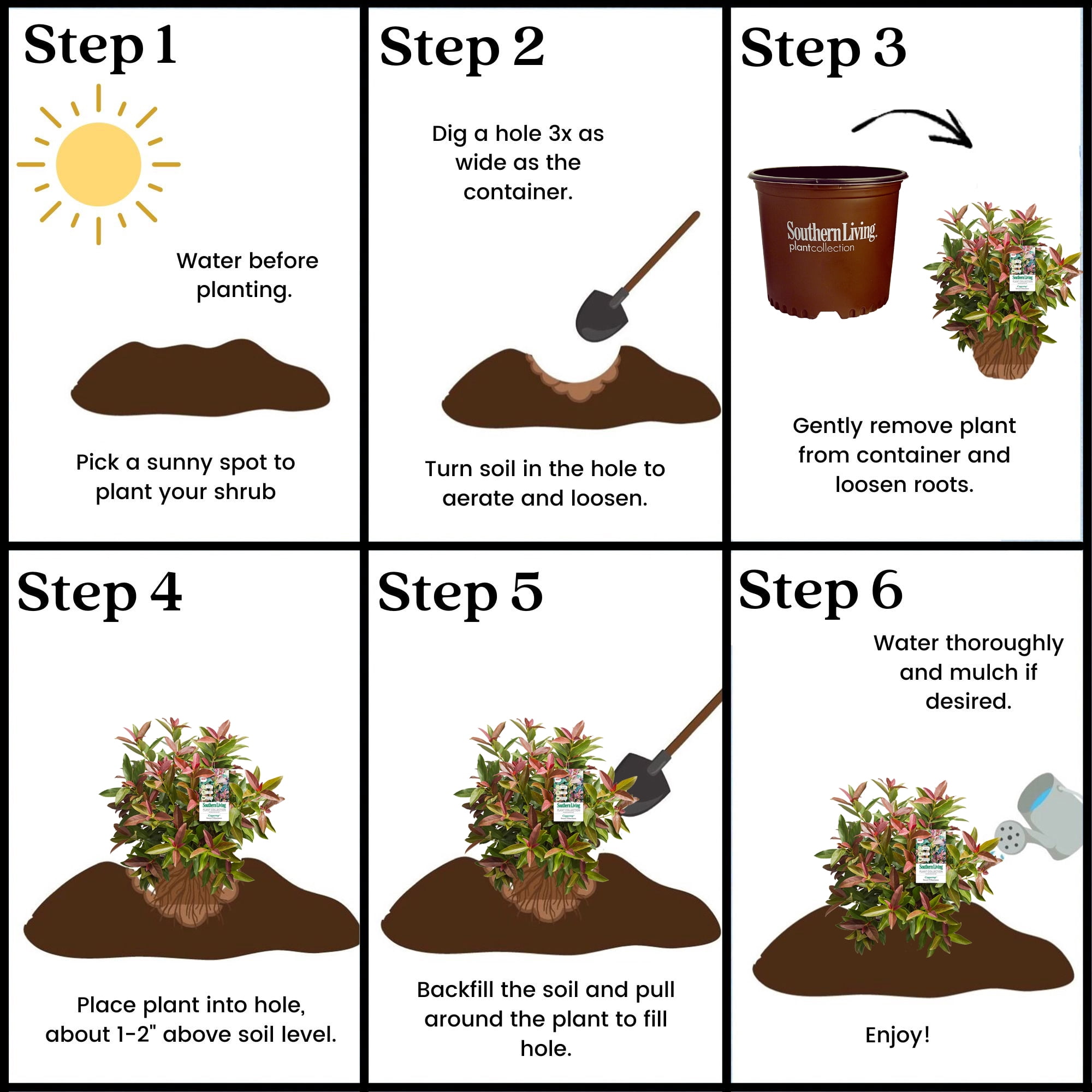 Southern Living Viburnum Copper Top Live Shrub in 2-Gallon Grower Pot
