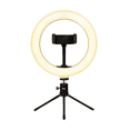 thumbnail image 1 of Aro De Luz Led 10 Pulgadas 26 Cm Belug, Negra, 1 of 5
