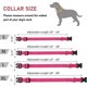 thumbnail image 5 of Correa reflectante para Collar de perro con seguridad ajustable, Collar de nailon para mascotas, cuerda de tracción para mascotas adecuada para mascotas de tamaño pequeño y mediano, 5 of 5