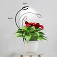 thumbnail image 6 of Pebbuoy Full Spectrum Plant Grow Light with 360-degree Gooseneck High Brightness Dimmable Clip-on LED Plant Light Flower Grow Lamp, 6 of 7