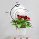thumbnail image 4 of Lámpara de cultivo de plantas Chicmine de espectro completo con cuello de cisne de 360 grados, luz LED regulable con clip y alto brillo para cultivo de flores., 4 of 8