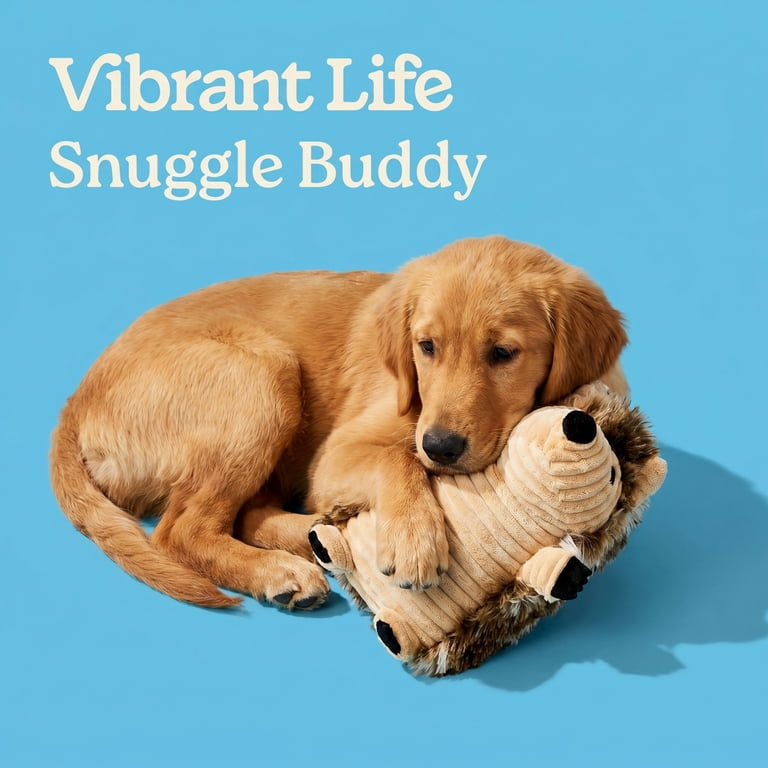 Vibrant Life Cozy Buddy 7.5 Inch Hedgehog Dog Toy, Soft Chew Level