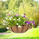 thumbnail image 4 of 2 macetas colgantes de metal con forro de fibra de coco, cesta colgante de alambre redondo de 12 pulgadas con cadena, decoración de porche, macetas, decoración de jardín, riego interior y exterior ACTIVE Biensenido a ACTIVE, 4 of 5