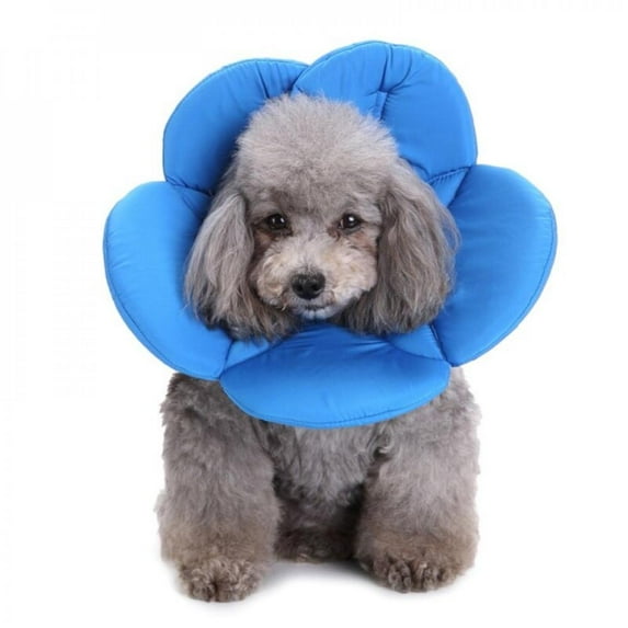 Daxin Flower Shapes Recovery Dog Cat Cone E-Collar Anti-Bite Adjustable Protector Cover Ring for Cats and Small Dogs Protective Touching