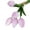 Light Purple, variant on opvise 5Pcs/Set Fake Flower Decor Simulated Easy to Care Faux Leather Long Stem Soft Artificial Tulip Wedding Supplies Dark Pink