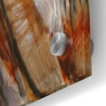 thumbnail image 3 of Epic Art 'At A Walk' by J. E. Knauf, Acrylic Glass Wall Art, 24"x36", 3 of 8