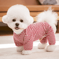 thumbnail image 2 of GASTROPOD Dog Shirts,Classic Stripe Design for Style and Warmth Dog Clothes,Comfortable Cotton Fabric for All-Day Wear Puppy Clothes,S, 2 of 4